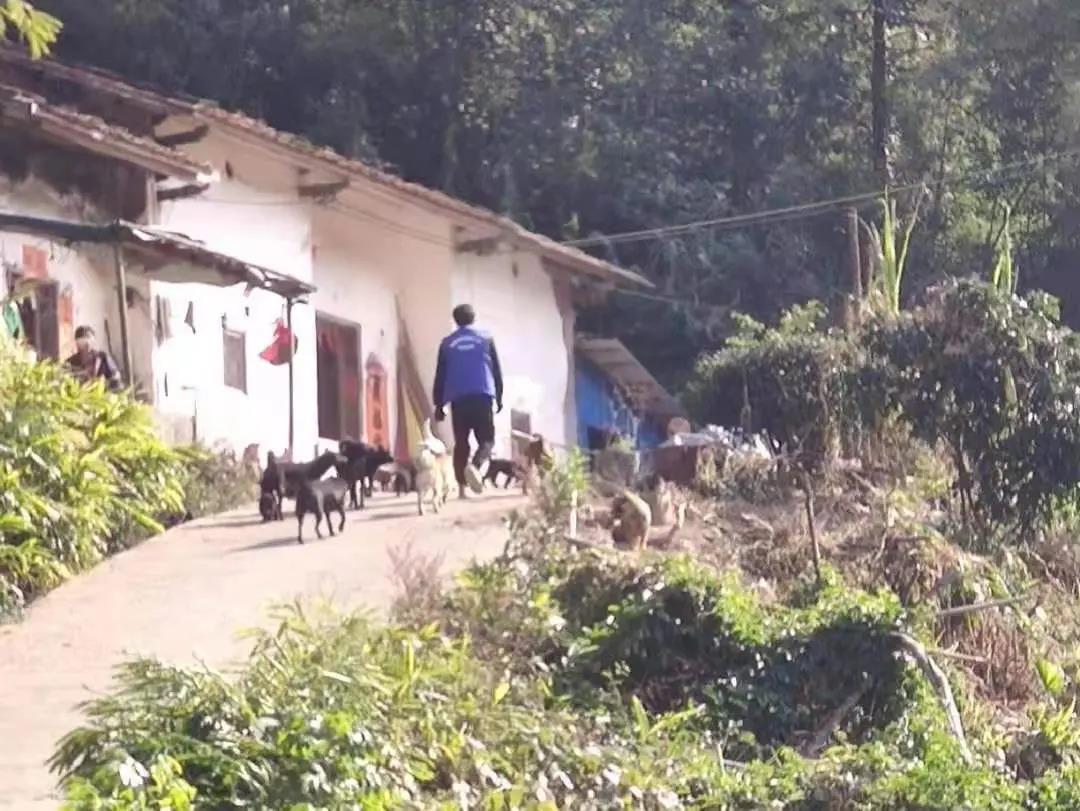 阳春房地一体项目纪实丨无悔青春多砥砺，最是斗争感人心