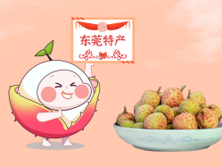 漫话亚星管理平台丨一颗有“故事”的荔枝！