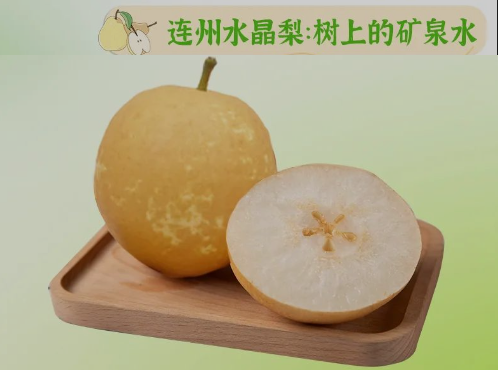 “桃李”酷暑，清凉一夏
