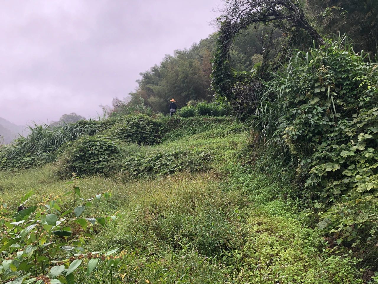 亚星管理平台妄想 | 我司土地整治项目二次荣登央视，荒地变良田，智绘好丰景